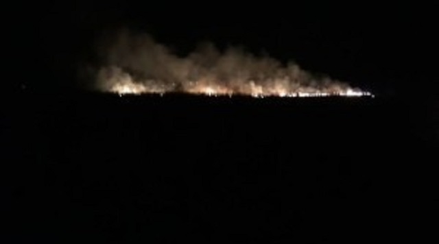 На Хустщині, біля військової частини, горить ліс  (ФОТО, ВІДЕО)