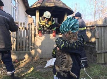 Іршавські рятувальники витягнули домашнього улюбленця з 20-ти метрового колодязя (ФОТО)