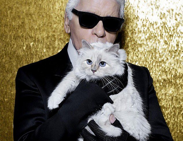 Відомий дизайнер Лагерфельд після своєї смерті залишив багатомільйонний спадок улюбленій кішці
