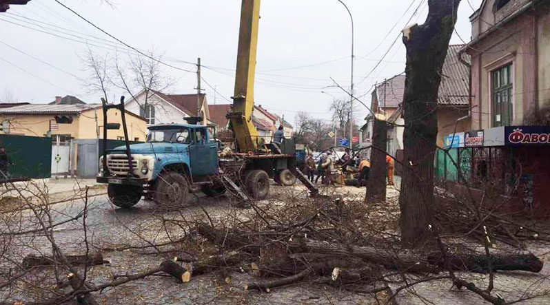 У Мукачеві цього тижня вирубуватимуть дерева, різатимуть зелені насадження та ліквідовуватимуть стихійні сміттєзвалища