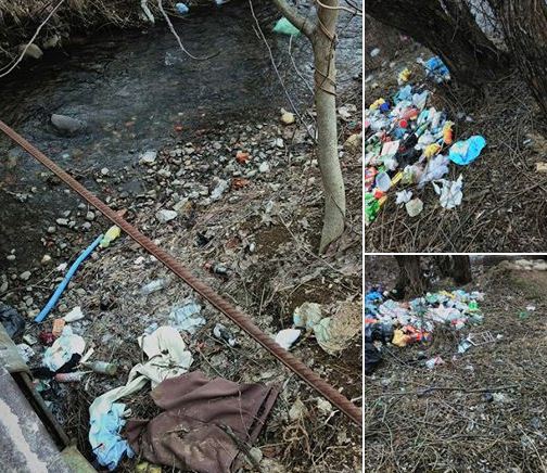 Околиці села Ільниця нагадують сміттєзвалище (фото)