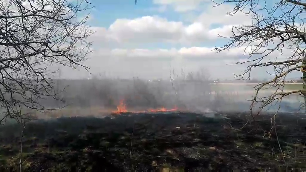 На Мукачівщині палають поля (ВІДЕО)