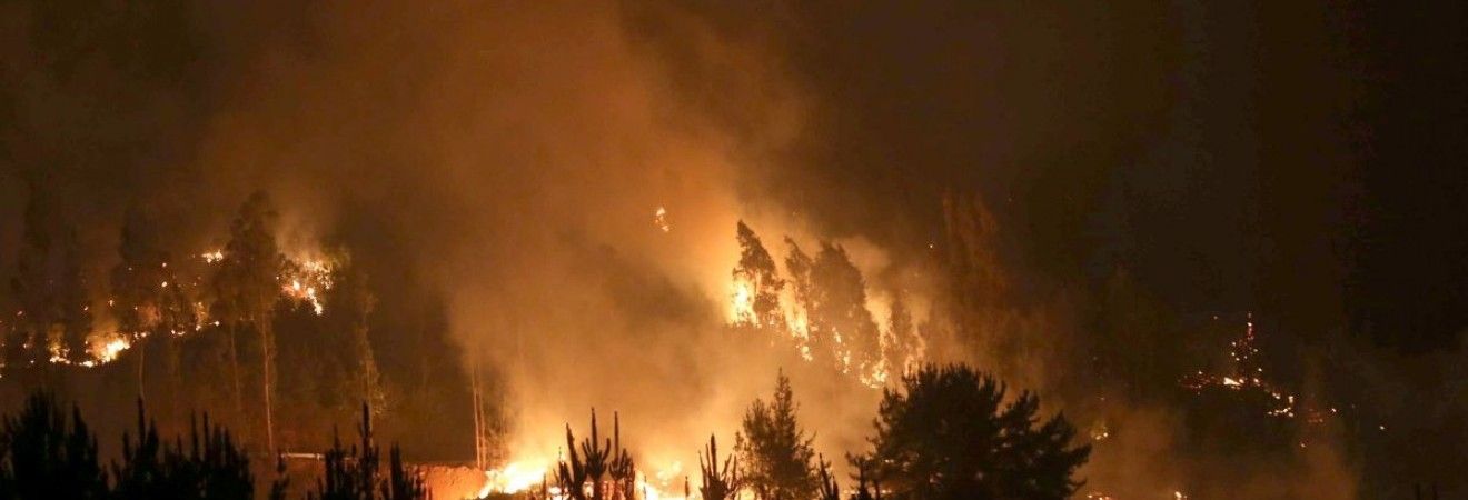 Закарпатка зафіксувала на відео масштабну пожежу в лісі на Свалявщині (ВІДЕО)