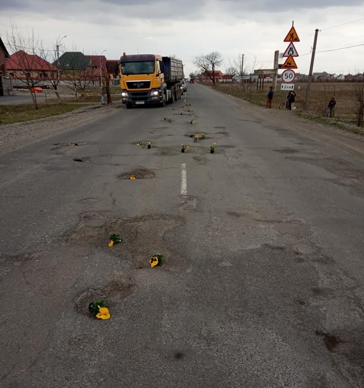 Садівництво по-виноградівськи: жителі Виноградова висадили квіти у вибоїни на дорогах (ФОТО)