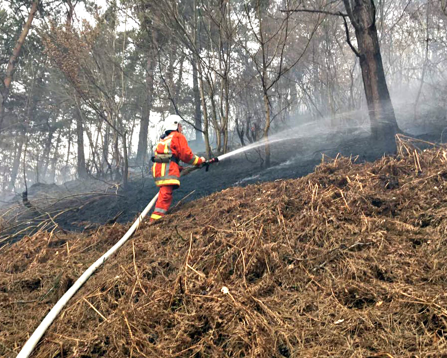 На Закарпатті вигоріли майже 20 гектарів земель в екосистемах (ФОТО)