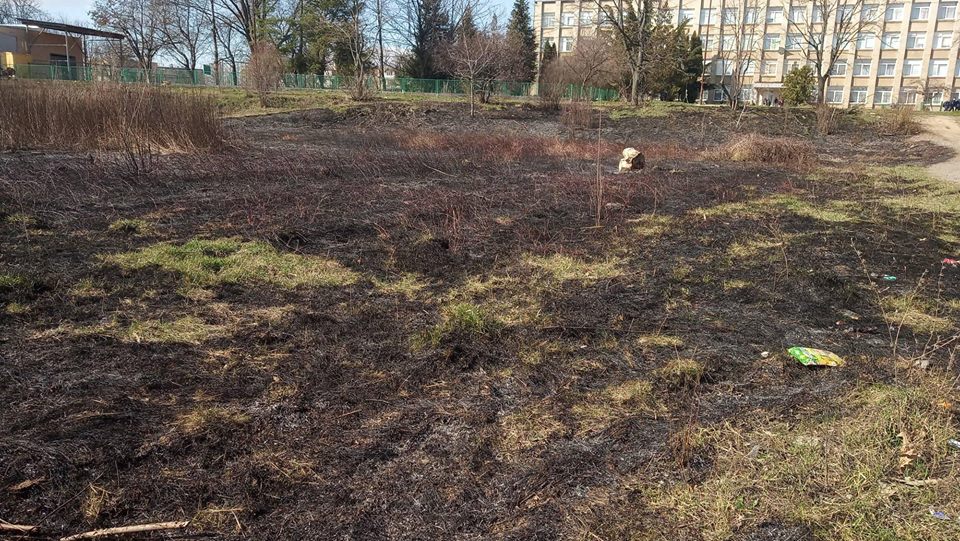 Ужгородську "Кірпічку" доброзичливці підпалюють ледь не щодня (ФОТО)