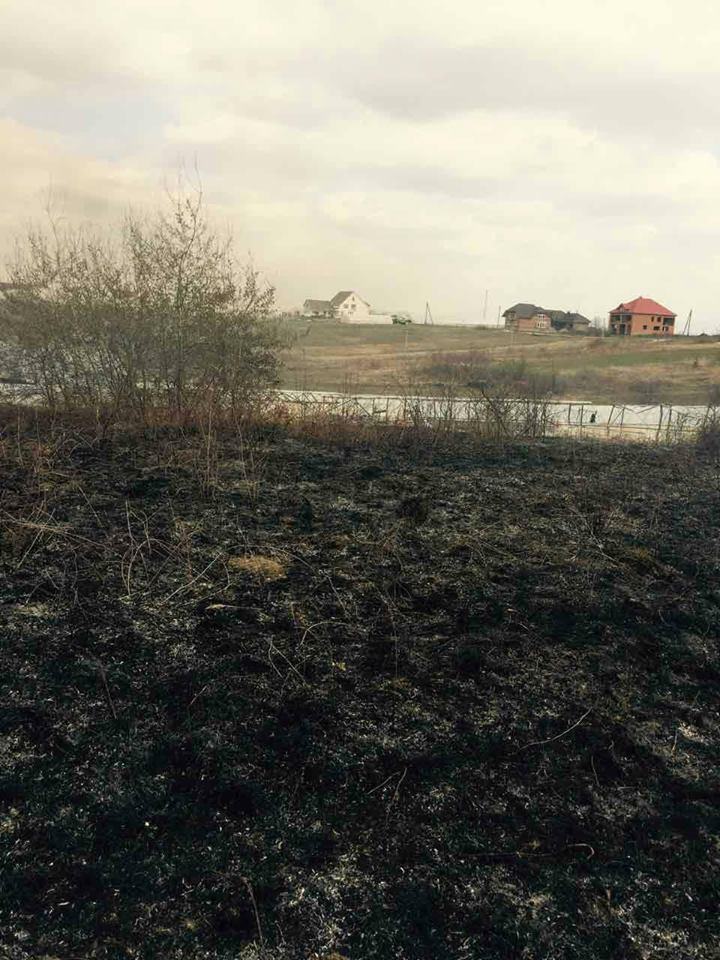 На Виноградівщині місцеві мешканці ледь не залишились без домівок через підпал чагарників (ФОТО)