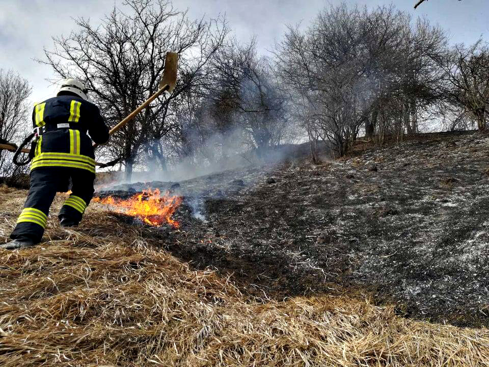 В Ужгороді випалювання сухої трави ледь не залишило місцевих жителів без даху над головою (ФОТО)