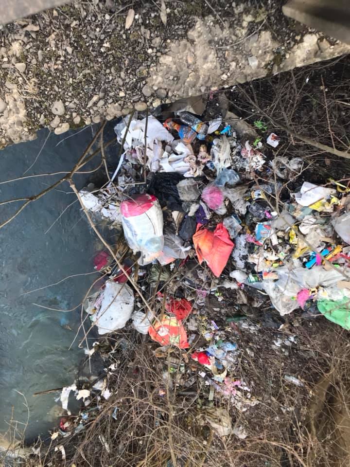 Нахабне викидання сміття у струмок: мешканці Хустського району обурені поведінкою сусідів (ФОТО)