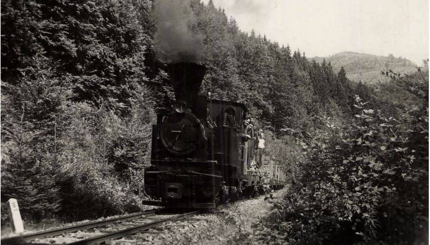 Як виглядала Боржавська залізниця понад століття тому (+ФОТО)