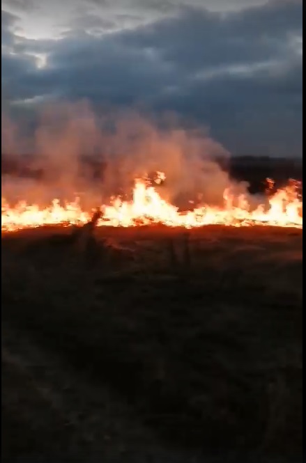 "Чудові" краєвиди з місця пожежі сухої трави на Виноградівщині (ВІДЕО)