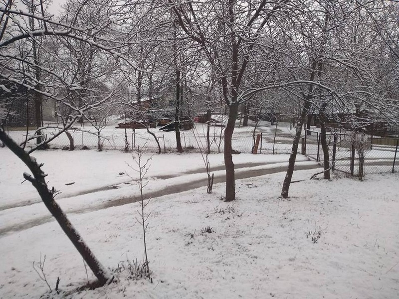 Шістнадцятий день весни: закарпатські села замело снігом (ФОТО)