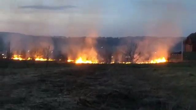 Масштабна пожежа вирує на межі Тячівського та Рахівського районів (ВІДЕО)