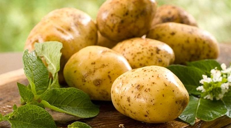 Учений назвав найшкідливішу страву з картоплі