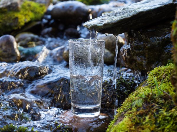 На Закарпатті налічується 382 види мінеральної води