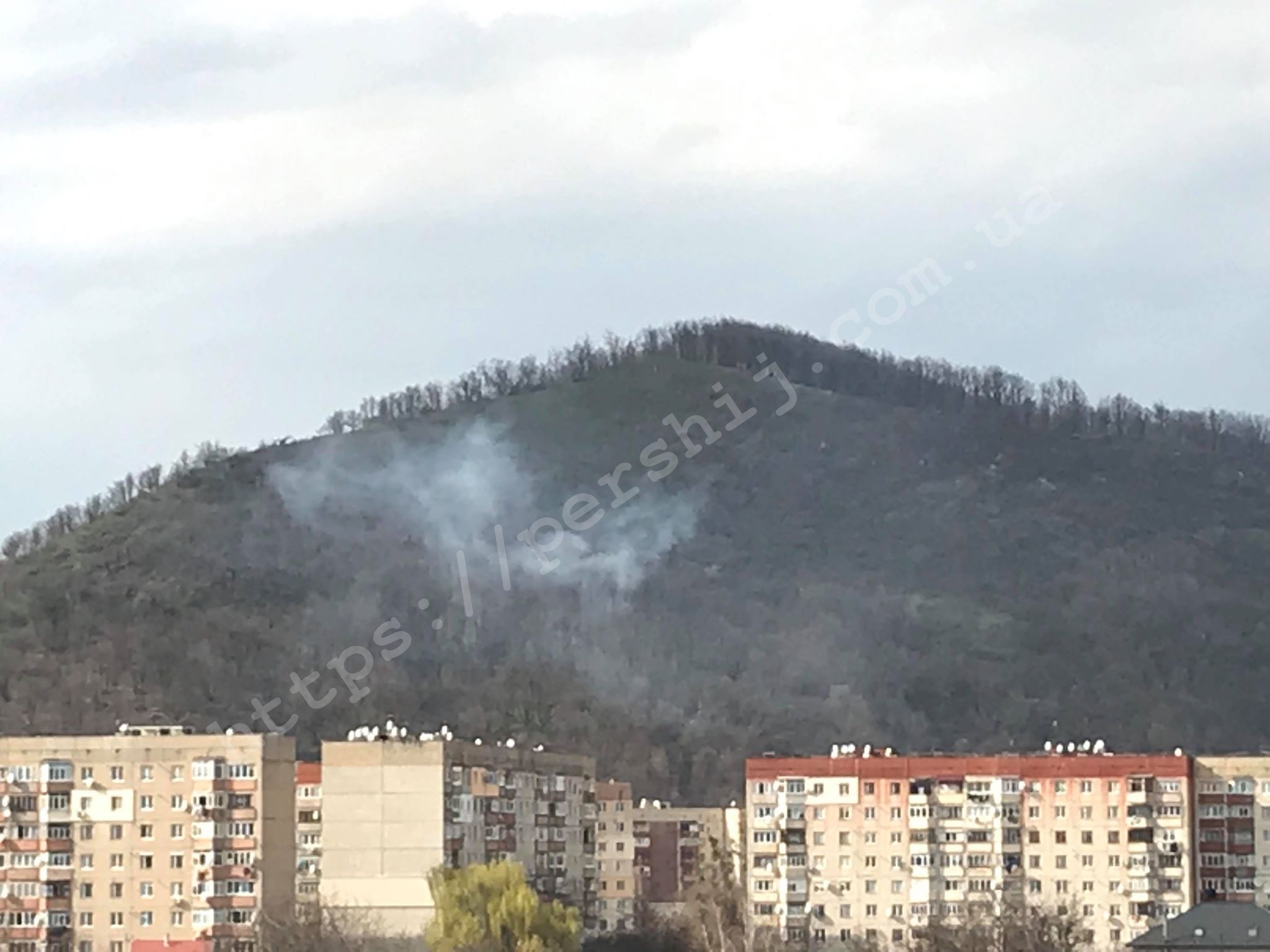 Жителі Мукачева б'ють на сполох: другу добу палає трава, вогонь наближається до будинків (ФОТО)