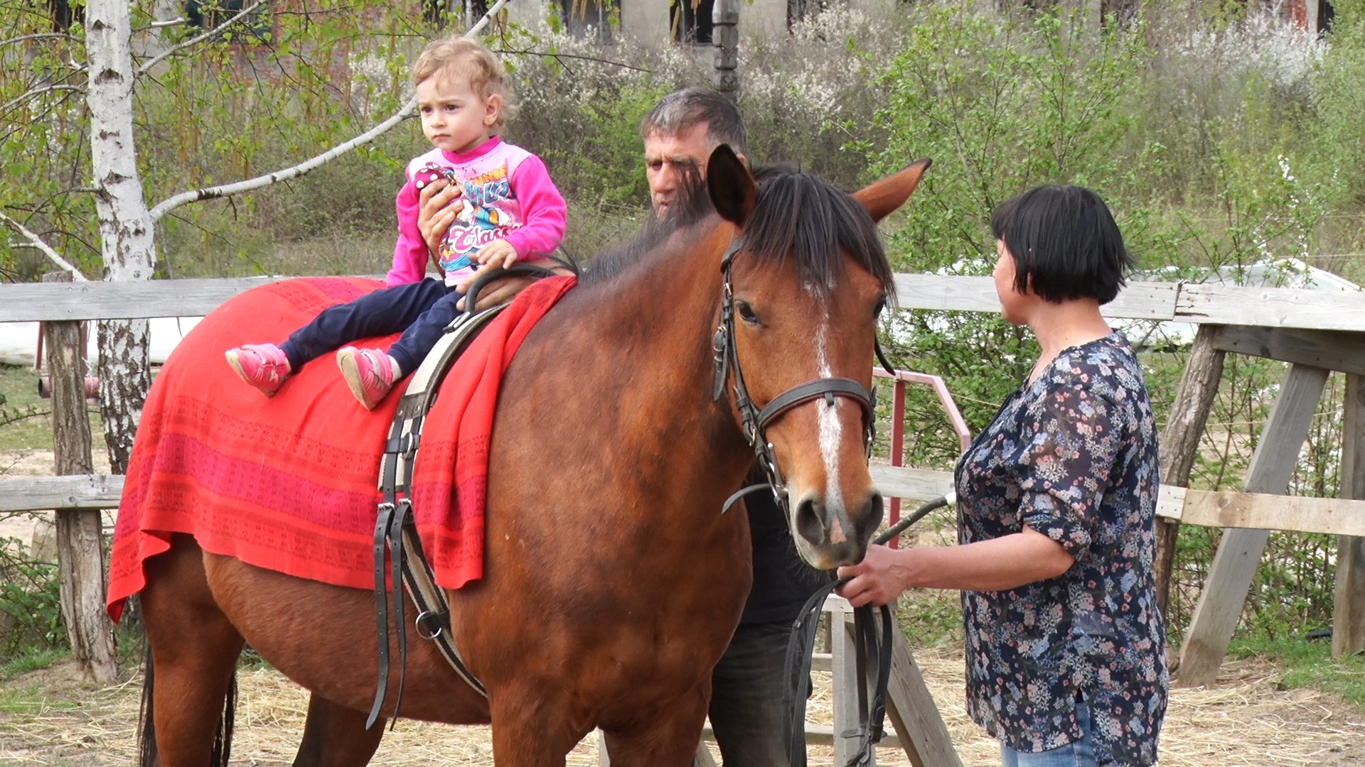 Іпотерапія: як у Виноградові коні лікують дітей (ВІДЕО)
