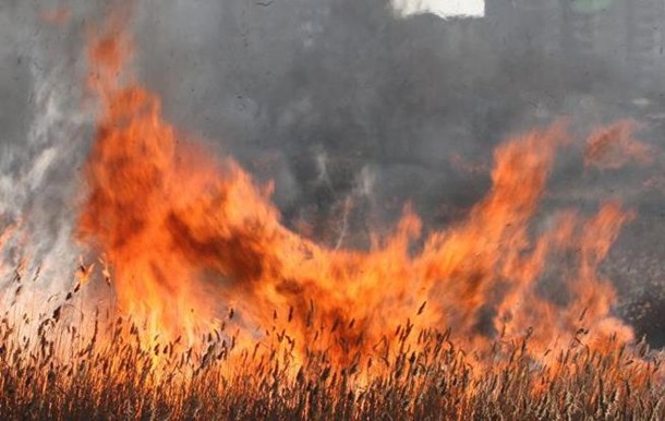Спалюючи траву загинули самі: літня пара загинула при пожежі