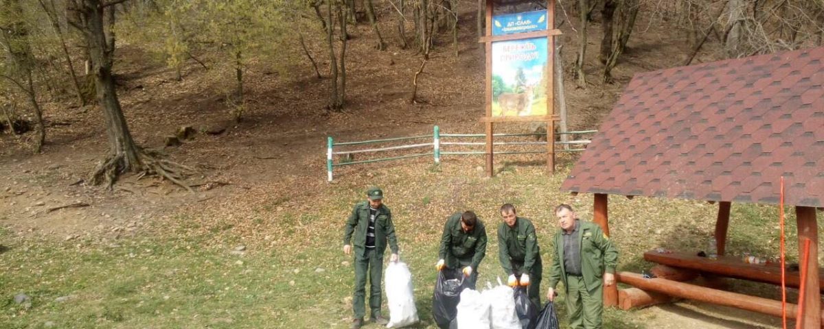 Лісівники Іршавщини об'єднали свої зусилля заради масштабного прибирання лісу (ФОТО)