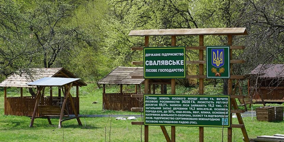 Нову відпочинкову зону для туристів обладнали на Свалявщині