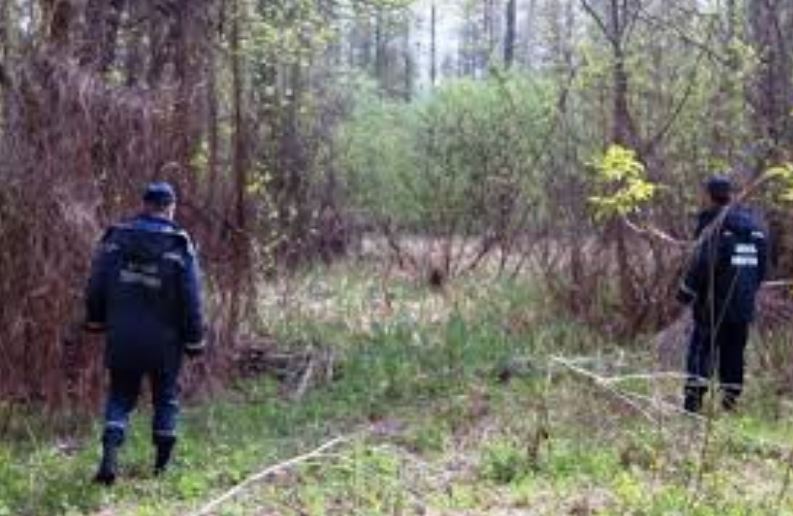 На сусідній Франківщині в лісі знайшли зниклу родину киян