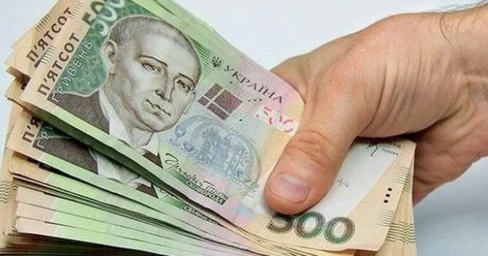 Закарпатського підприємця зобов'язали сплатити штраф у розмірі більш ніж півмільйона гривень