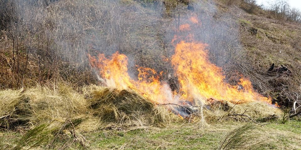 На Тячівщині боролись з вогнем який ледь не знищив лісовий масив