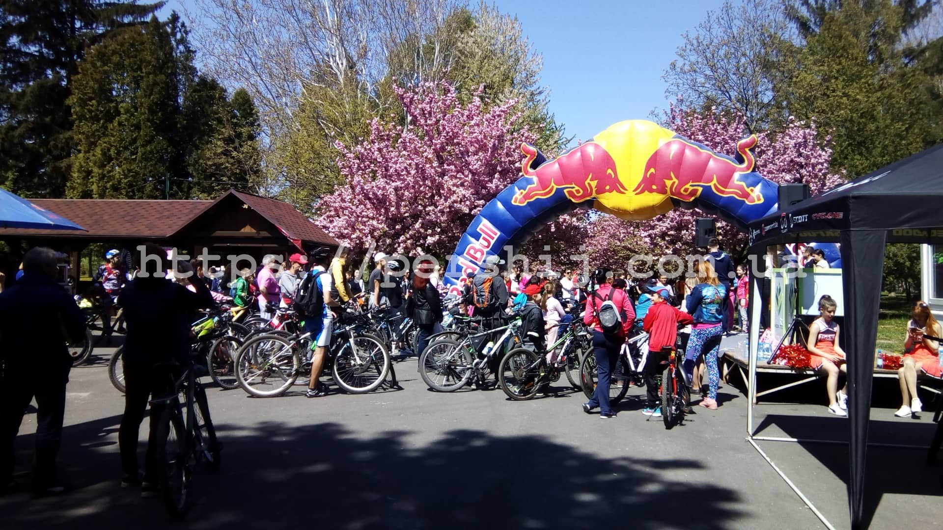 Понад 300 велосипедистів проїхалися Мукачевим в рамках сакурового велозаїзду (ФОТО, ВІДЕО)