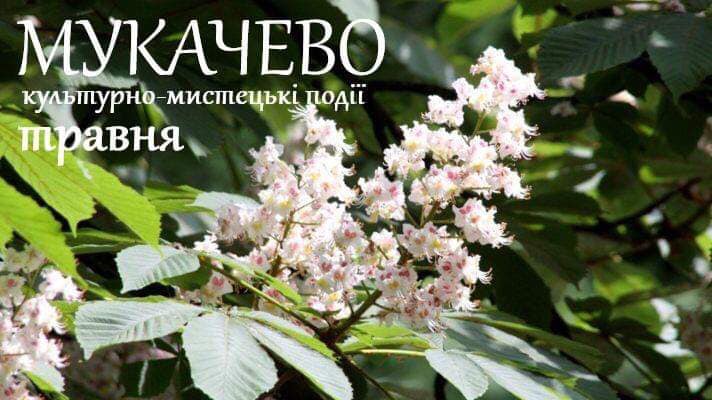 Культурно-мистецькі події травня в Мукачеві (АНОНС)