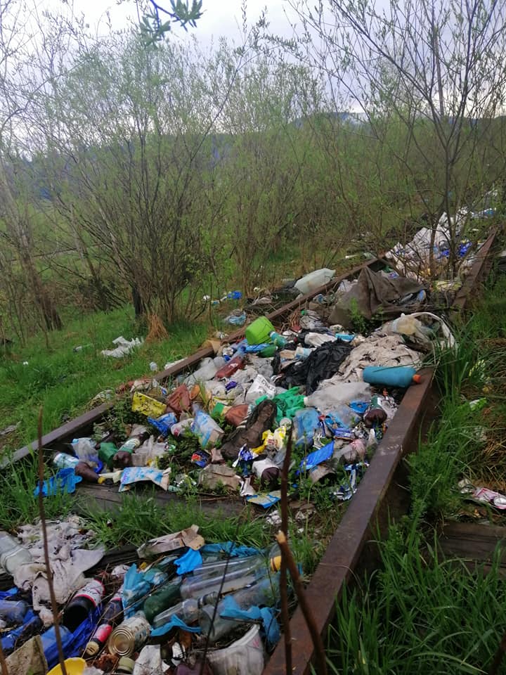 Екологічне забруднення: Нове Ясіня потопає в смітті (ФОТО)