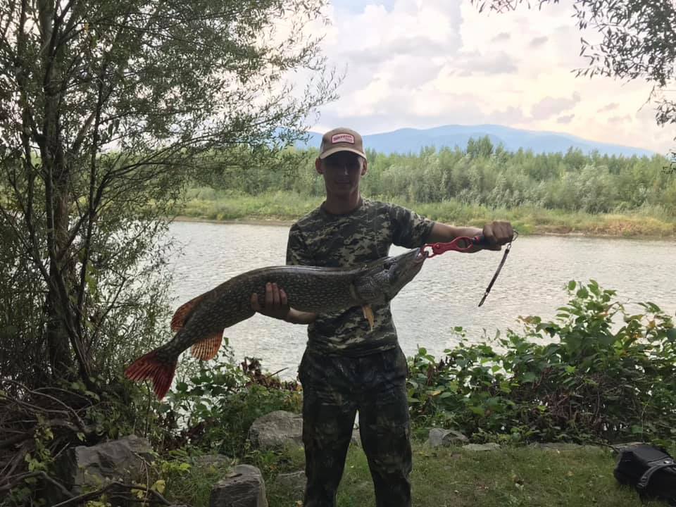 Велетенську щуку упіймали в річці Тиса (ФОТО)