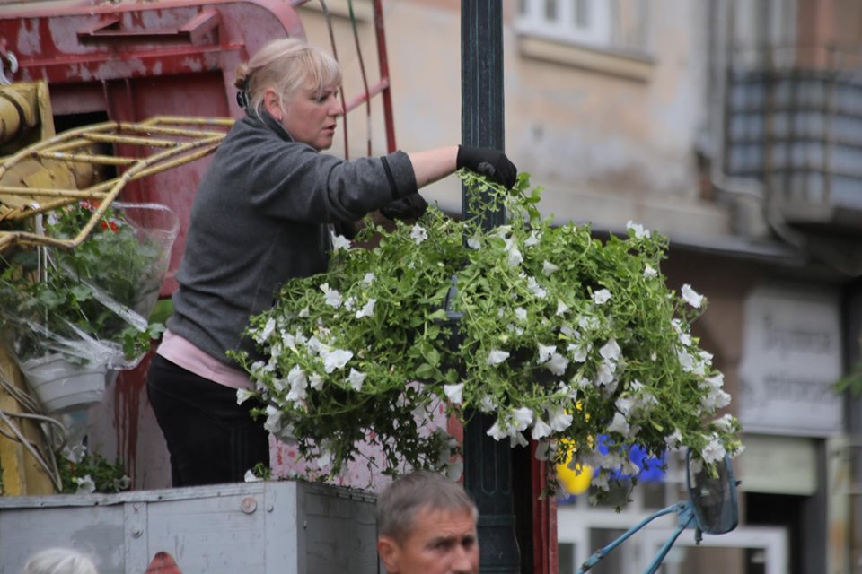 Не дивлячись на дощі, центр Мукачева "розквітає" (ФОТО)