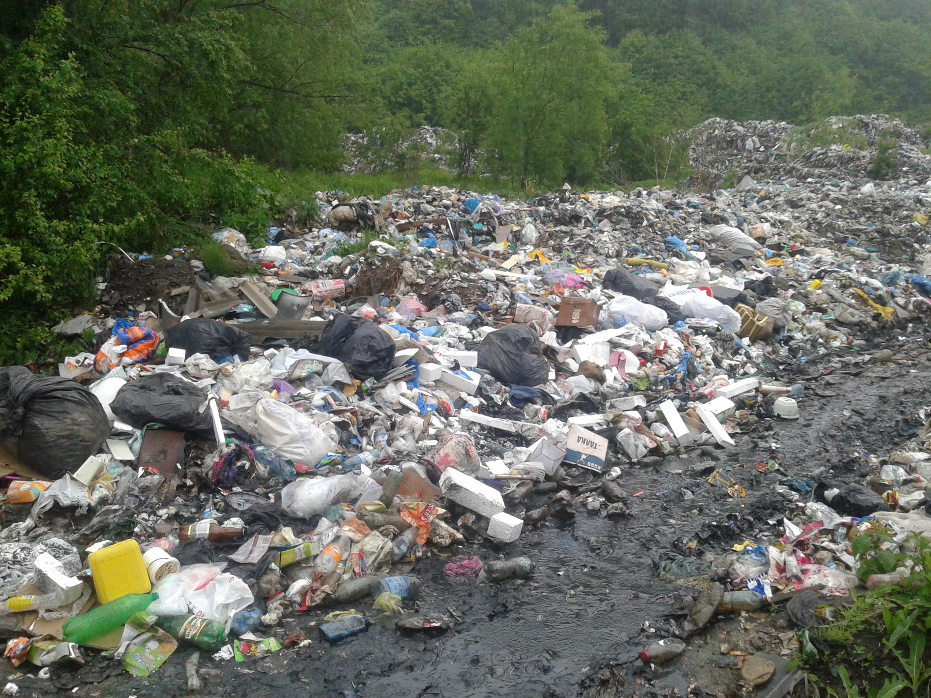 Гори та ріки сміття: природа Закарпаття потерпає від людського нехлюйства (ФОТО)