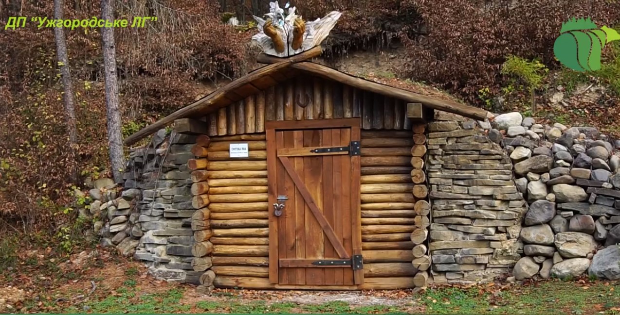 Лісовий музей просто неба на Закарпатті (відео)