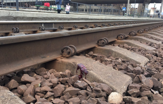 Трагедія у Мукачеві: під колесами потягу «Київ-Ужгород» загинула людина