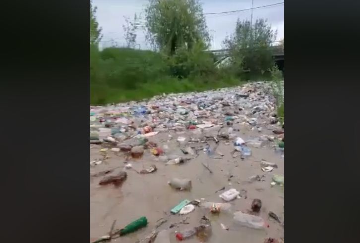 Тиса та Дунай принесли до Румунії тонни пластикових пляшок (ВІДЕО)