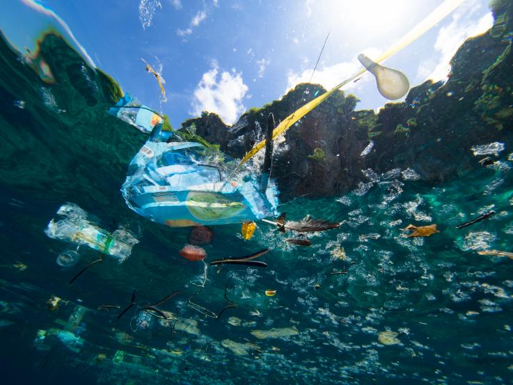 Неподалік Корсики вчені виявили цілий острів з пластикового сміття
