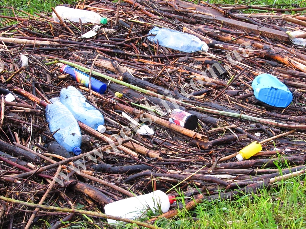 Наслідки стихії у Мукачеві: береги Латориці в межах міста вкрилися тоннами сміття (ФОТО)