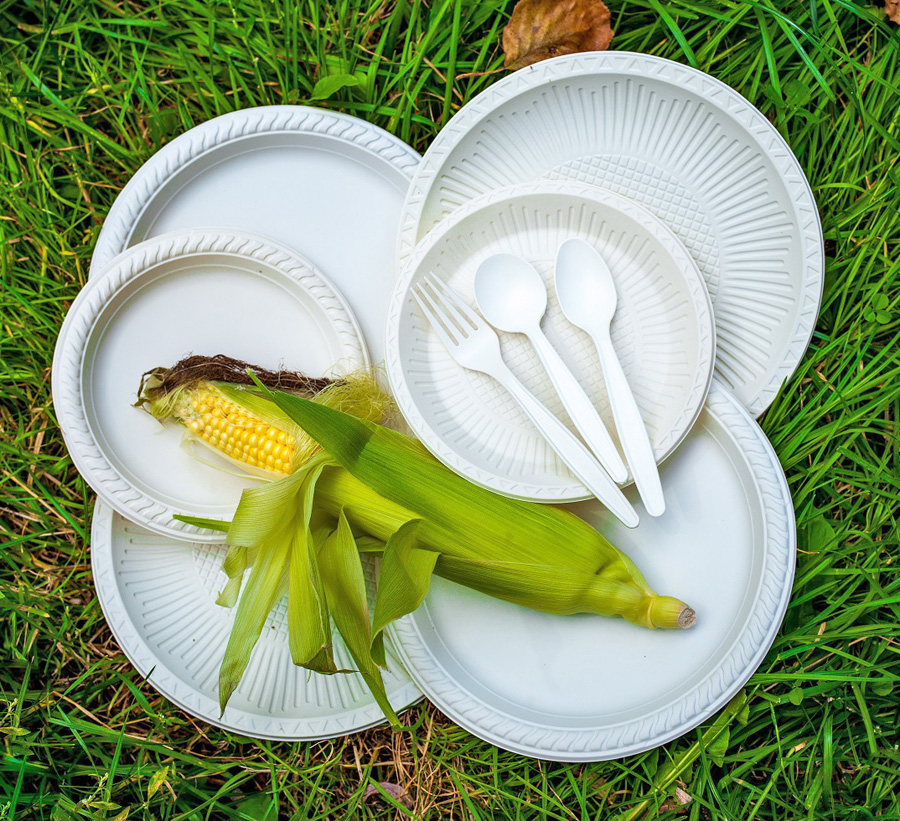 Посуд з кукурудзи: Закарпатські винахідники знайшли альтернативу пластику