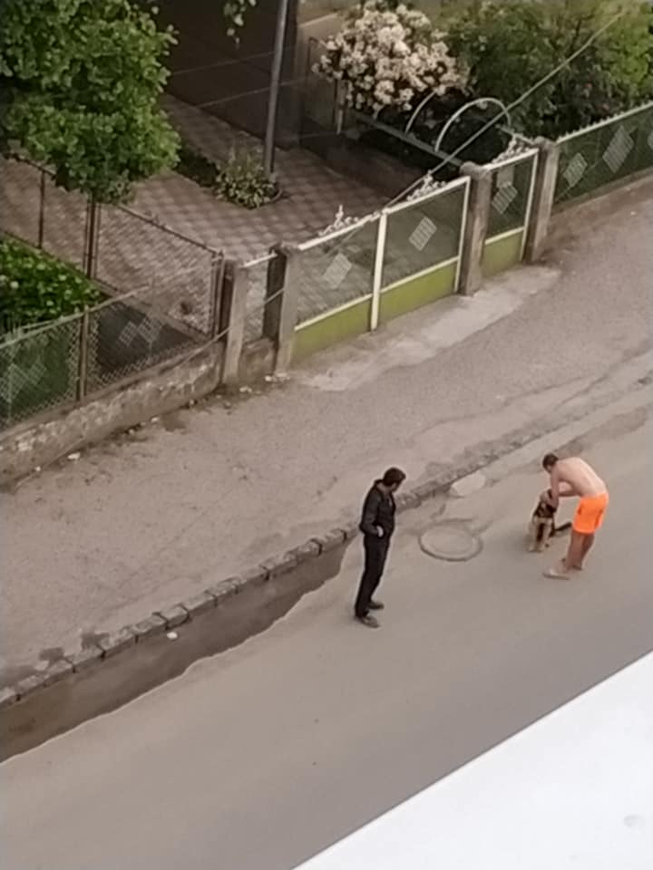 Жорстокий Ужгород: чоловік знущається над собакою посеред вулиці (ФОТО,ВІДЕО)