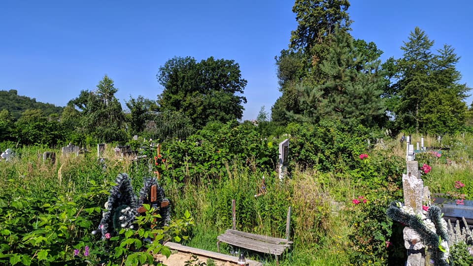 Тропічні джунглі нагадує кладовище в Мукачеві (ФОТО)