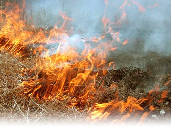 Шторм НЯ: Закарпатців попереджають про небезпеку