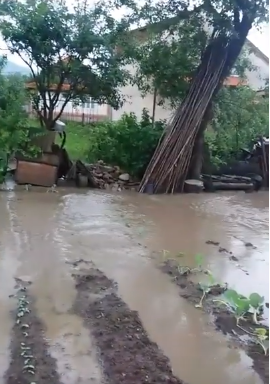 У мережі показали нищівні наслідки негоди на Міжгірщині (ВІДЕО)