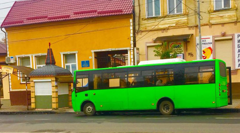 ДТП в Мукачеві: міський автобус зачепив пішохода і навіть не зупинився, - соцмережі