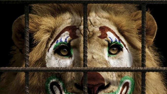 В Ужгороді заборонять цирк за участю тварин
