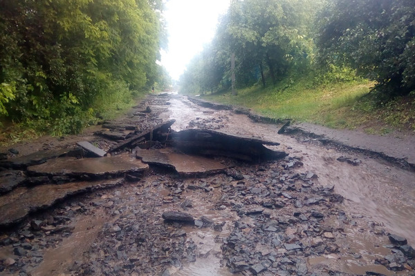 На Закарпатті оголошено штормове попередження: рівень небезпечності - жовтий