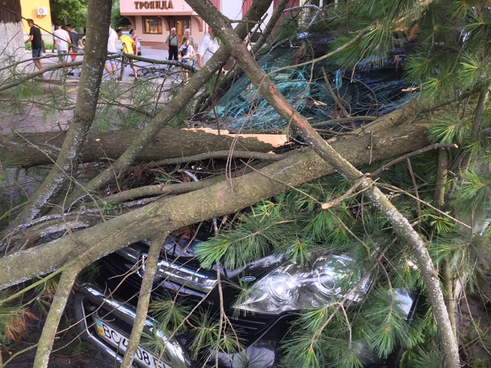 У Сваляві  дерево впало на автівку (ФОТО)