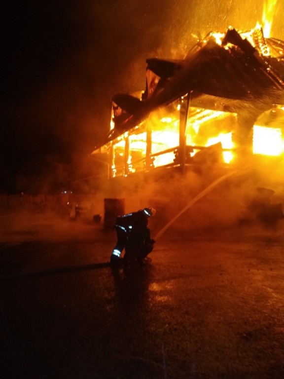 Нічна пожежа на Закарпатті: рятувальники показали нищівний вогонь (ФОТО)