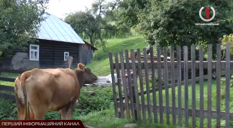 Виборчі настрої у закарпатському селі Родникова Гута (ВІДЕО)