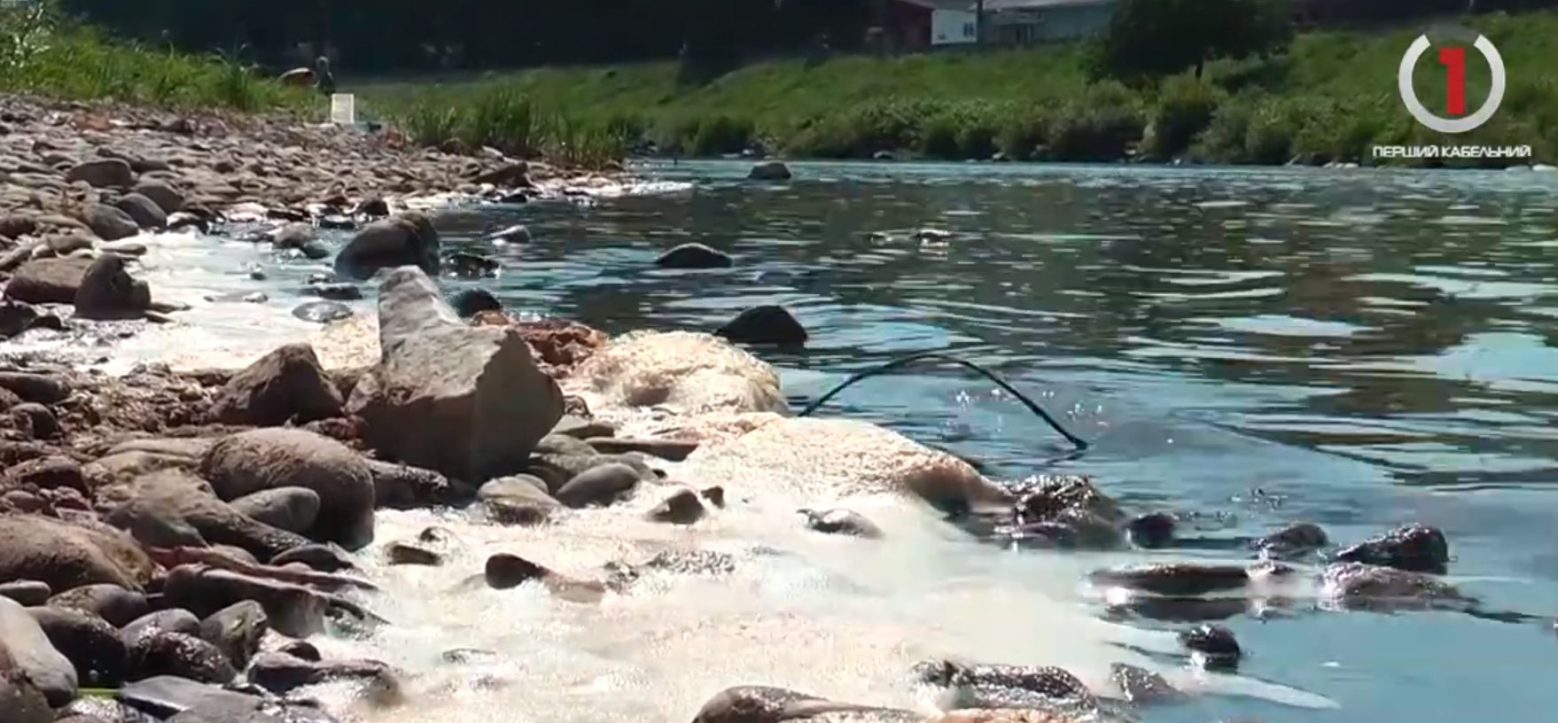 Кишкова паличка, брудна вода: у мукачівській річці Латориці купатися заборонено (ВІДЕО)